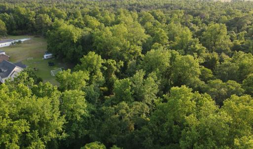 Photo #3 of SOLD property in Off Sandlin Road, Beulaville, NC 11.3 acres