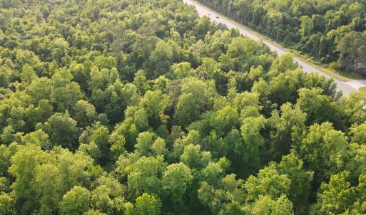 Photo #8 of SOLD property in Off Sandlin Road, Beulaville, NC 11.3 acres