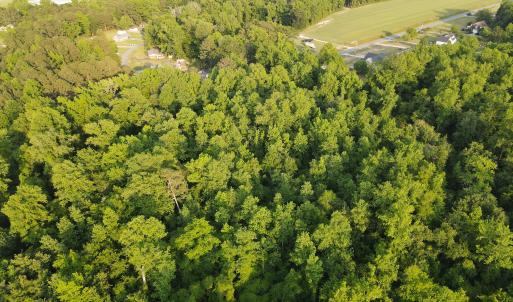 Photo #12 of SOLD property in Off Sandlin Road, Beulaville, NC 11.3 acres