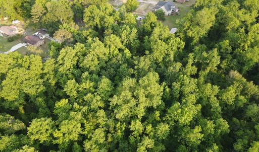 Photo #16 of SOLD property in Off Sandlin Road, Beulaville, NC 11.3 acres
