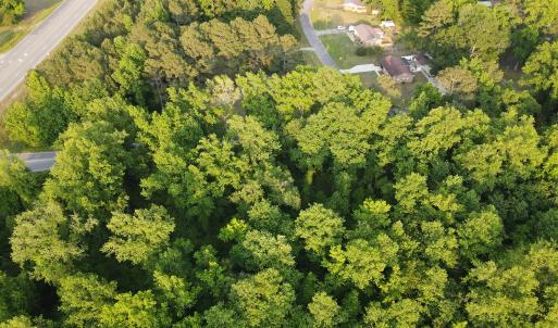 Photo #17 of SOLD property in Off Sandlin Road, Beulaville, NC 11.3 acres