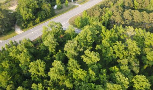Photo #18 of SOLD property in Off Sandlin Road, Beulaville, NC 11.3 acres