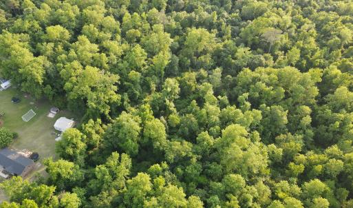 Photo #19 of SOLD property in Off Sandlin Road, Beulaville, NC 11.3 acres