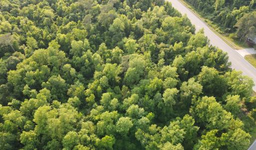 Photo #21 of SOLD property in Off Sandlin Road, Beulaville, NC 11.3 acres