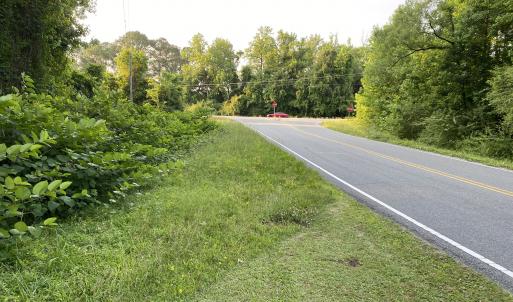 Photo #22 of SOLD property in Off Sandlin Road, Beulaville, NC 11.3 acres