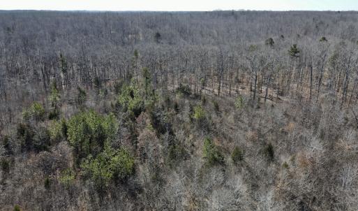 Photo #10 of Off Hatters Creek Road, Green Bay, VA 9.4 acres