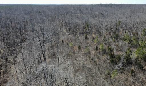 Photo #11 of Off Hatters Creek Road, Green Bay, VA 9.4 acres