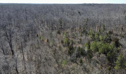 Photo #15 of Off Hatters Creek Road, Green Bay, VA 9.4 acres