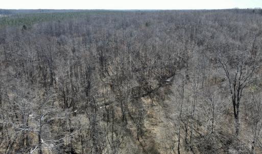 Photo #17 of Off Hatters Creek Road, Green Bay, VA 9.4 acres
