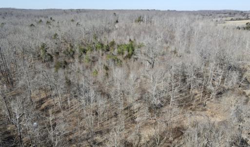 Photo #18 of Off Hatters Creek Road, Green Bay, VA 9.4 acres