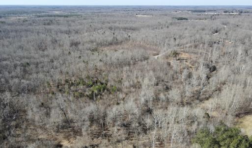 Photo #2 of Off Hatters Creek Road, Green Bay, VA 9.4 acres
