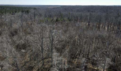Photo #20 of Off Hatters Creek Road, Green Bay, VA 9.4 acres
