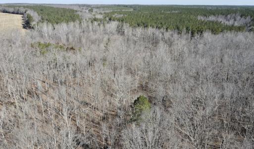 Photo #22 of Off Hatters Creek Road, Green Bay, VA 9.4 acres