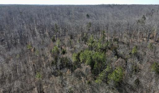 Photo #23 of Off Hatters Creek Road, Green Bay, VA 9.4 acres