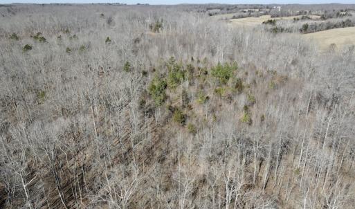 Photo #24 of Off Hatters Creek Road, Green Bay, VA 9.4 acres