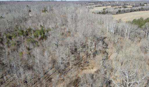 Photo #25 of Off Hatters Creek Road, Green Bay, VA 9.4 acres