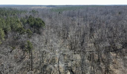 Photo #26 of Off Hatters Creek Road, Green Bay, VA 9.4 acres