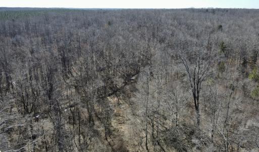 Photo #27 of Off Hatters Creek Road, Green Bay, VA 9.4 acres