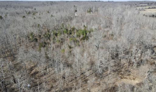 Photo #29 of Off Hatters Creek Road, Green Bay, VA 9.4 acres