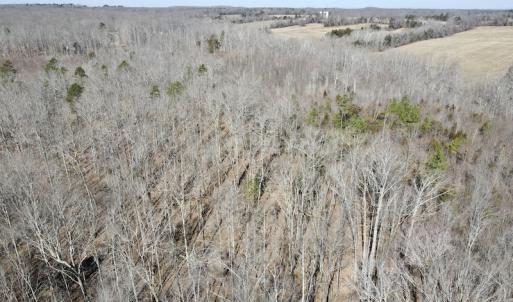 Photo #32 of Off Hatters Creek Road, Green Bay, VA 9.4 acres