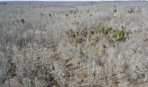 Photo #34 of Off Hatters Creek Road, Green Bay, VA 9.4 acres