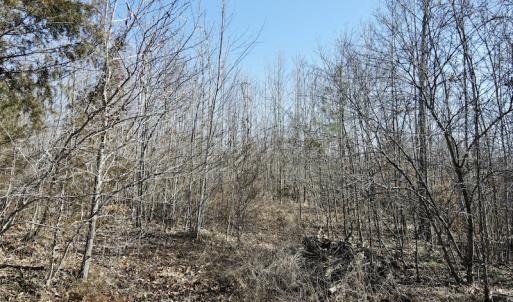Photo #42 of Off Hatters Creek Road, Green Bay, VA 9.4 acres