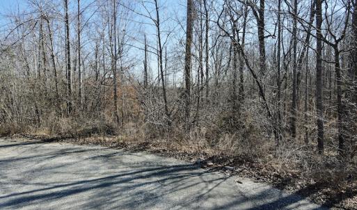 Photo #43 of Off Hatters Creek Road, Green Bay, VA 9.4 acres