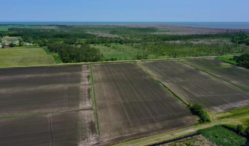 Photo #17 of SOLD property in 7 Wysocking Bay Drive, Engelhard, NC 0.5 acres