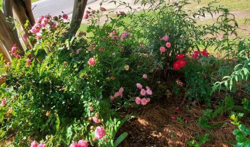 Photo #30 of SOLD property in 101 Cypress Drive, Edenton, NC 0.2 acres