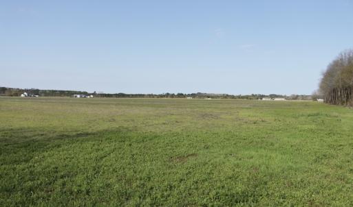 Photo #2 of SOLD property in 1333 School House Road, Elizabeth City, NC 10.0 acres