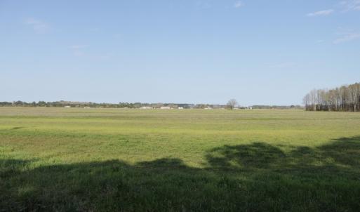 Photo #5 of SOLD property in 1333 School House Road, Elizabeth City, NC 10.0 acres