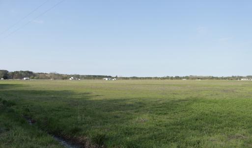 Photo #4 of SOLD property in 1341 School House Road, Elizabeth City, NC 10.0 acres