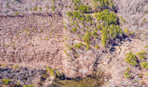 Photo #18 of SOLD property in Off Drake Road, Rocky Mount, NC 6.5 acres