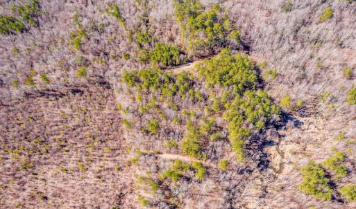 Photo #19 of SOLD property in Off Drake Road, Rocky Mount, NC 6.5 acres