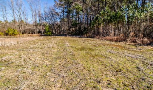 Photo #21 of SOLD property in Off Drake Road, Rocky Mount, NC 6.5 acres