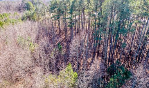 Photo #23 of SOLD property in Off Drake Road, Rocky Mount, NC 6.5 acres
