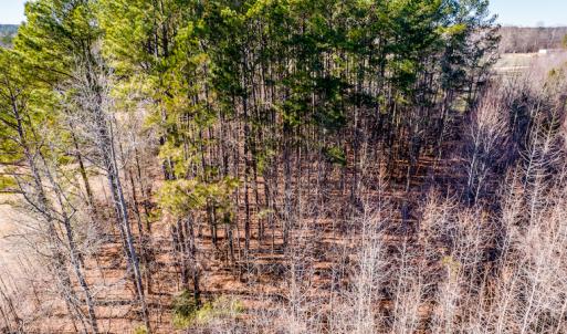 Photo #24 of SOLD property in Off Drake Road, Rocky Mount, NC 6.5 acres