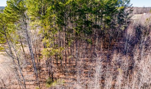 Photo #24 of Off Drake Road, Rocky Mount, NC 6.5 acres