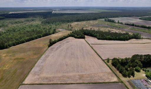 Photo #14 of Off Dover Fort Barnwell Road, Dover, NC 27.6 acres