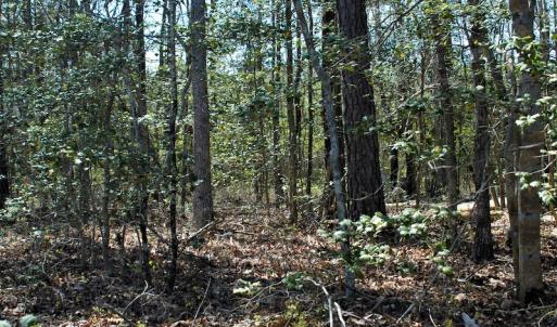 Photo #12 of SOLD property in Off Charbelee Drive, Charles City, VA 2.0 acres