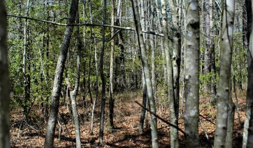 Photo #15 of SOLD property in Off Charbelee Drive, Charles City, VA 2.0 acres