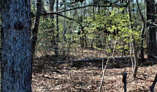 Photo #16 of SOLD property in Off Charbelee Drive, Charles City, VA 2.0 acres
