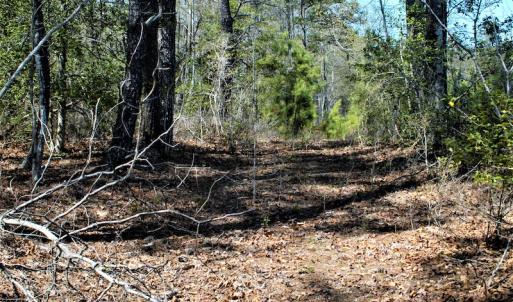 Photo #17 of SOLD property in Off Charbelee Drive, Charles City, VA 2.0 acres
