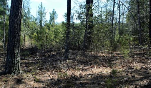 Photo #19 of SOLD property in Off Charbelee Drive, Charles City, VA 2.0 acres