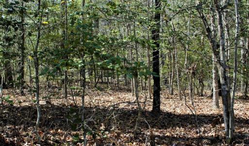 Photo #20 of SOLD property in Off Charbelee Drive, Charles City, VA 2.0 acres