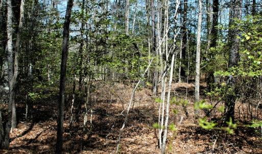 Photo #21 of SOLD property in Off Charbelee Drive, Charles City, VA 2.0 acres
