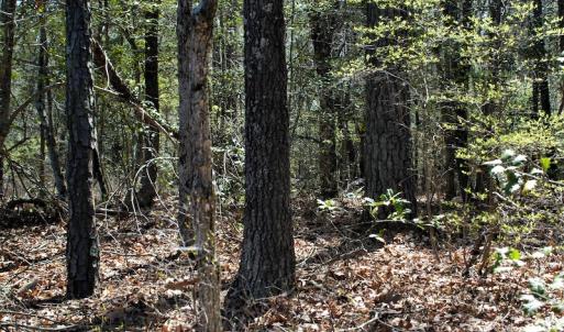 Photo #22 of SOLD property in Off Charbelee Drive, Charles City, VA 2.0 acres