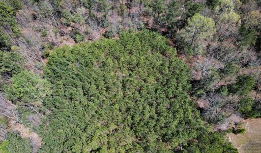 Photo #25 of SOLD property in Off Charbelee Drive, Charles City, VA 2.0 acres