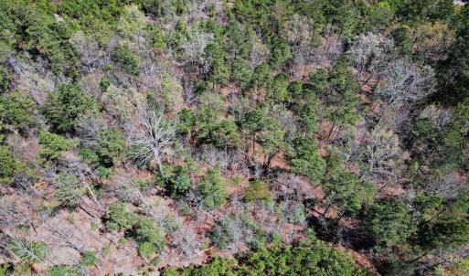 Photo #26 of SOLD property in Off Charbelee Drive, Charles City, VA 2.0 acres
