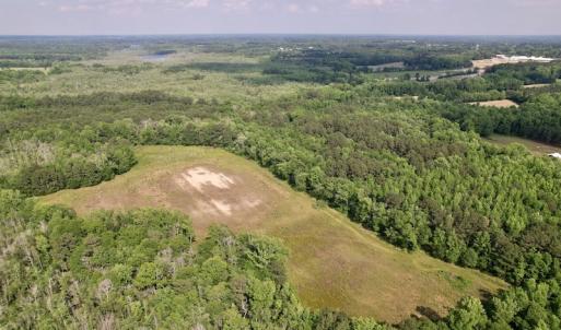 Photo #15 of 1322 Black Creek Road, Four Oaks, NC 80.0 acres